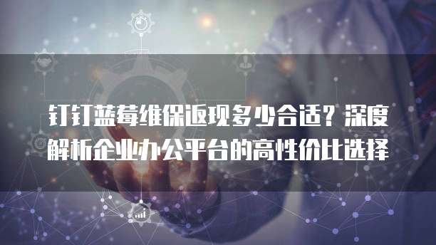 钉钉蓝莓维保返现多少合适?深度解析企业办公平台的高性价比选择