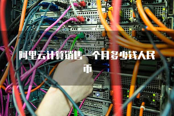 阿里云计算销售一个月多少钱人民币