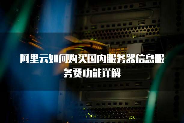 阿里云如何购买国内服务器信息服务费功能详解