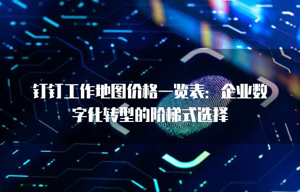 钉钉工作地图价格一览表:企业数字化转型的阶梯式选择