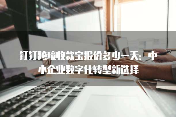 钉钉跨境收款宝报价多少一天:中小企业数字化转型新选择