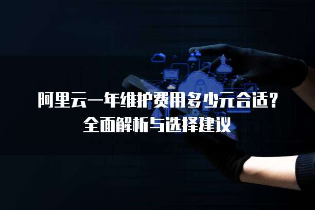 阿里云一年维护费用多少元合适?全面解析与选择建议