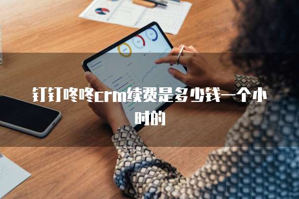 钉钉咚咚crm续费是多少钱一个小时的
