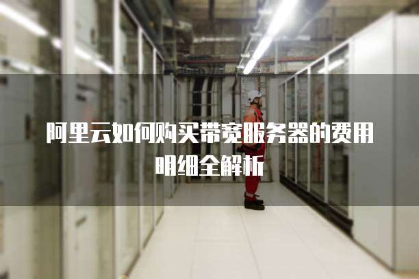 阿里云如何购买带宽服务器的费用明细全解析