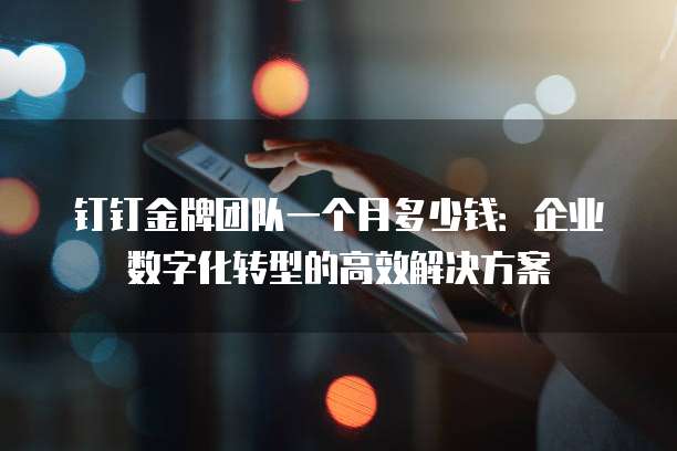 钉钉金牌团队一个月多少钱:企业数字化转型的高效解决方案