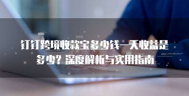 钉钉跨境收款宝多少钱一天收益是多少？深度解析与实用指南