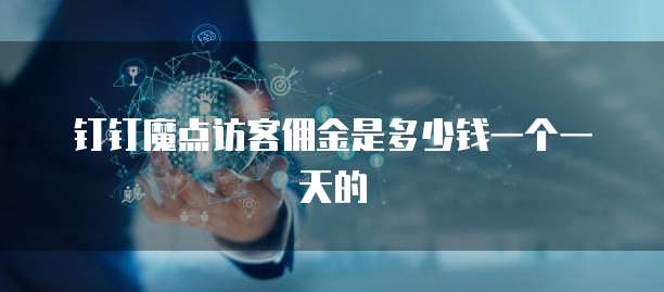 钉钉魔点访客佣金是多少钱一个一天的