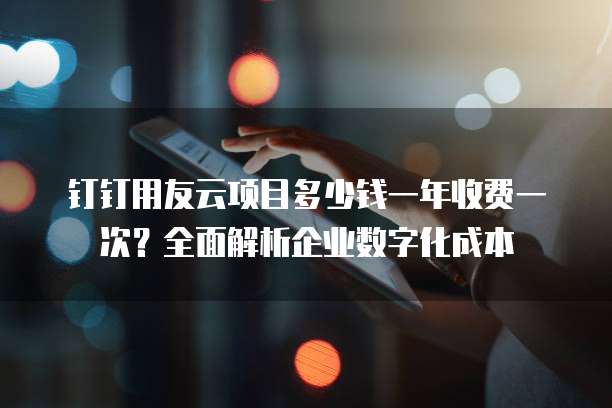 钉钉用友云项目多少钱一年收费一次？全面解析企业数字化成本