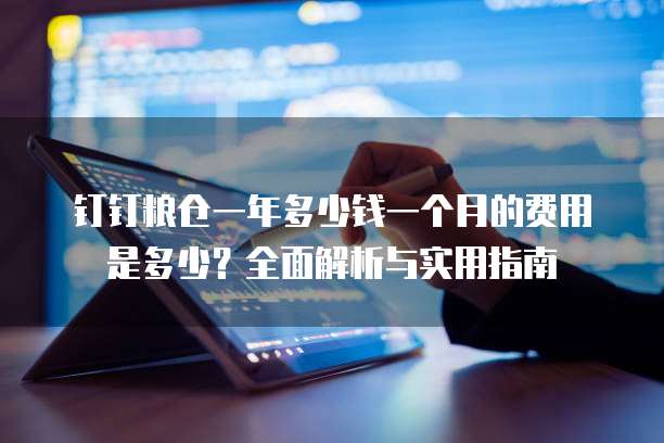 钉钉粮仓一年多少钱一个月的费用是多少?全面解析与实用指南