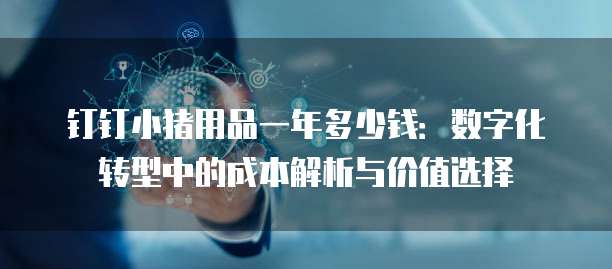 钉钉小猪用品一年多少钱:数字化转型中的成本解析与价值选择