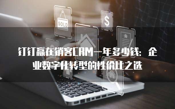 钉钉赢在销客CRM一年多少钱:企业数字化转型的性价比之选