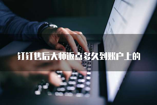 钉钉售后大师返点多久到账户上的