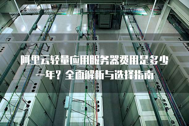 阿里云轻量应用服务器费用是多少一年?全面解析与选择指南