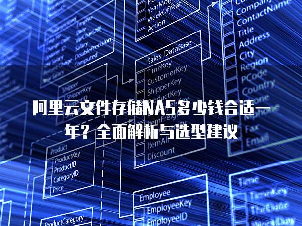 阿里云文件存储NAS多少钱合适一年？全面解析与选型建议