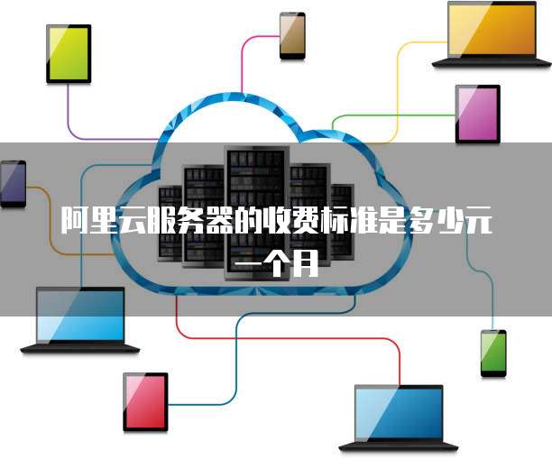 阿里云服务器的收费标准是多少元一个月