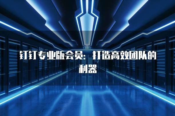 钉钉专业版会员:打造高效团队的利器