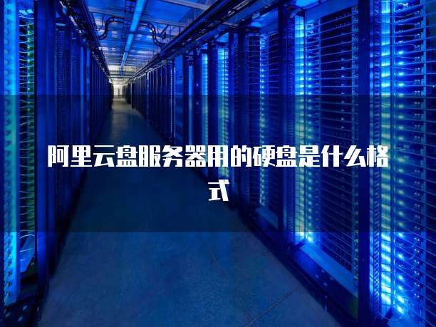阿里云盘服务器用的硬盘是什么格式