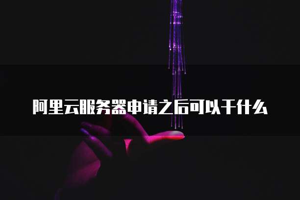 阿里云服务器申请之后可以干什么