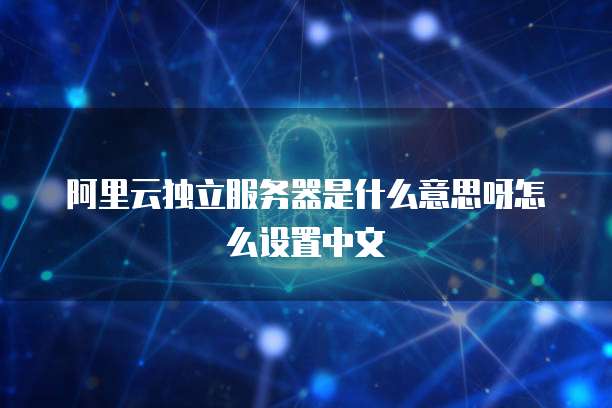 阿里云独立服务器是什么意思呀怎么设置中文