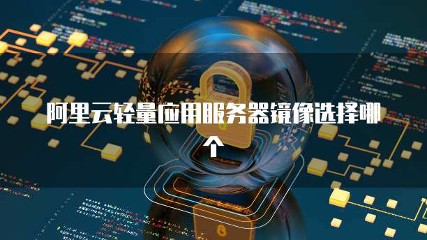 阿里云轻量应用服务器镜像选择哪个