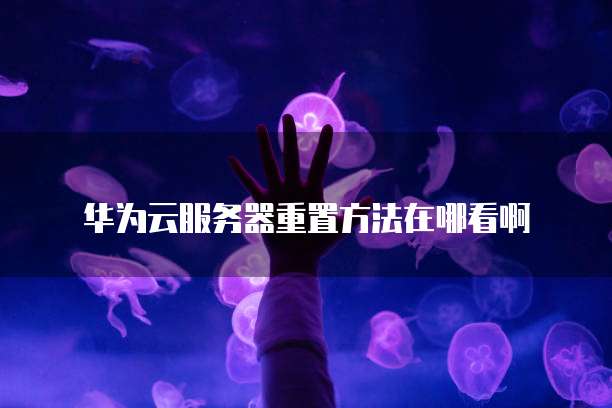 阿里云免费服务器领取攻略