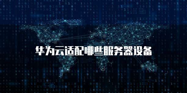 阿里云服务器的预装应用在哪里打开