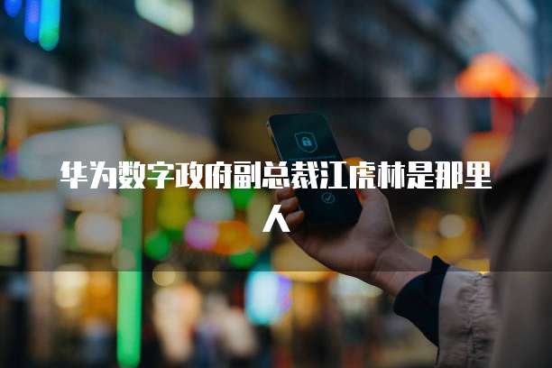 钉钉低代码高级认证是什么意思呀？