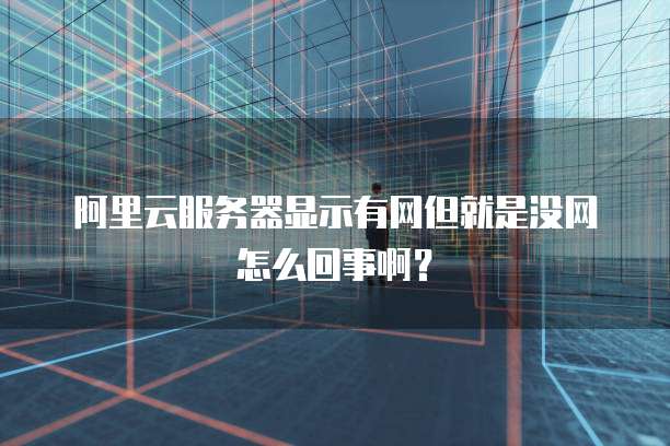 阿里云服务器显示有网但就是没网怎么回事啊?