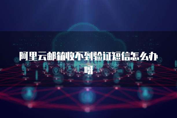 阿里云邮箱收不到验证短信怎么办呀