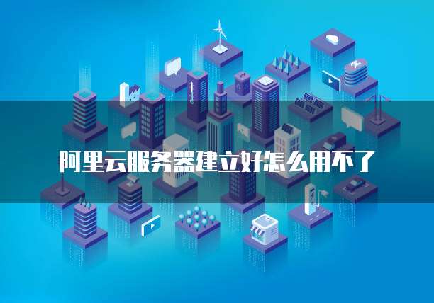 阿里云服务器建立好怎么用不了