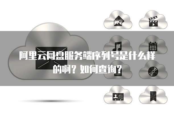 阿里云网盘服务端序列号是什么样的啊?如何查询?