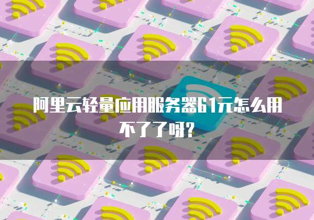 阿里云轻量应用服务器61元怎么用不了了呀?