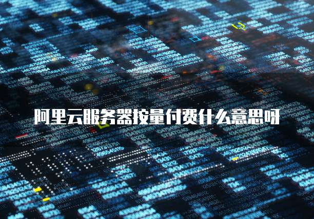 阿里云服务器按量付费什么意思呀
