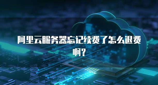 钉钉专业版会员功能及安全性解析