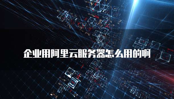 企业用阿里云服务器怎么用的啊