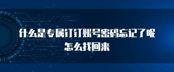 什么是专属钉钉账号密码忘记了呢怎么找回来