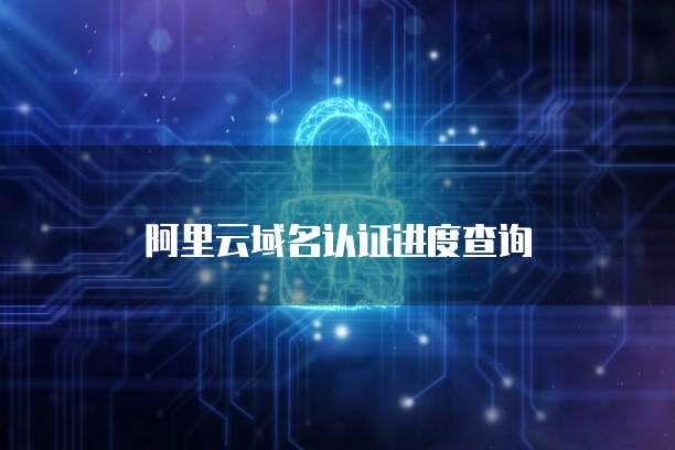 阿里云域名认证进度查询