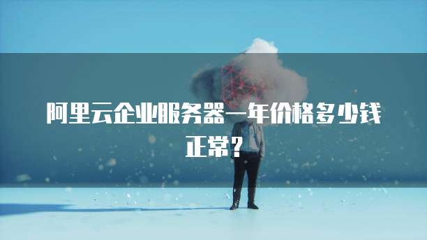 阿里云企业服务器一年价格多少钱正常?
