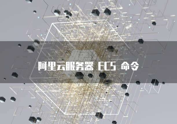 阿里云服务器 ECS 命令