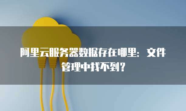 阿里云服务器数据存在哪里:文件管理中找不到?