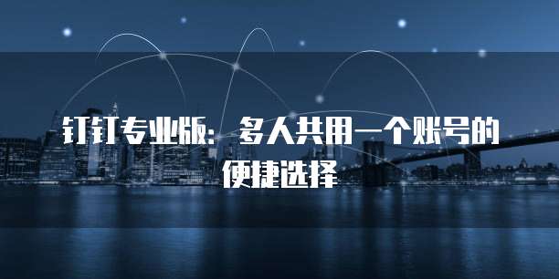 钉钉专业版:多人共用一个账号的便捷选择