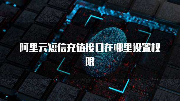 阿里云短信充值接口在哪里设置权限