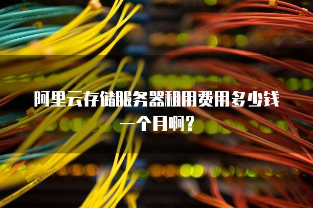 阿里云存储服务器租用费用多少钱一个月啊?
