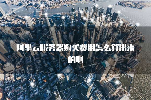 阿里云服务器购买费用怎么算出来的啊