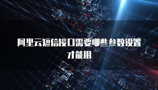 阿里云短信接口需要哪些参数设置才能用