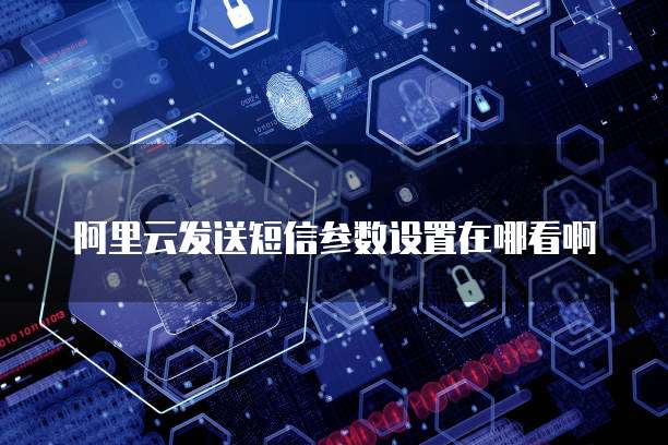 阿里云发送短信参数设置在哪看啊