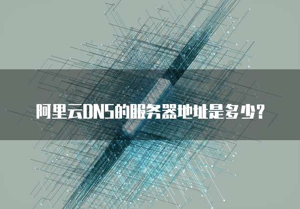 阿里云DNS的服务器地址是多少？