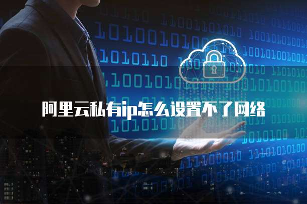 阿里云私有ip怎么设置不了网络