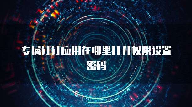 专属钉钉应用在哪里打开权限设置密码