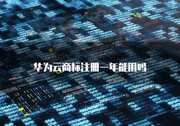 阿里云网盘挂载磁盘错误原因和解决方法
